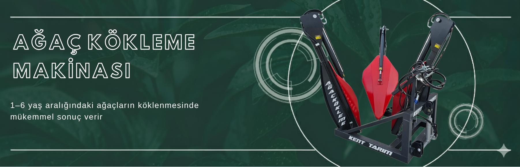 Ağaç Kökleme Banner